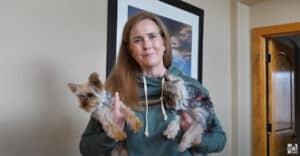 Why You Should Never Get Two Puppies