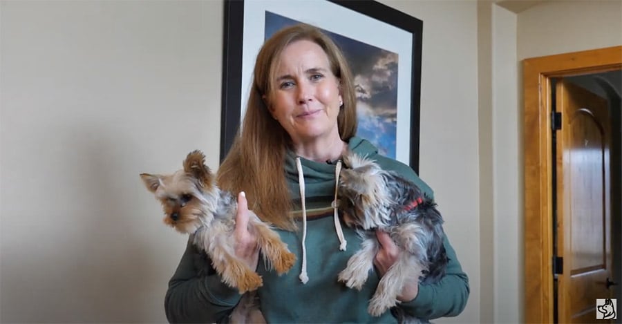 Dog trainer holding two puppies to show the dangers of littermate syndrome