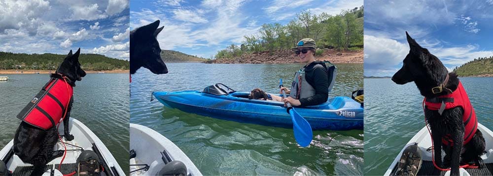 Black German shepherd dog riding a kayak in Colorado