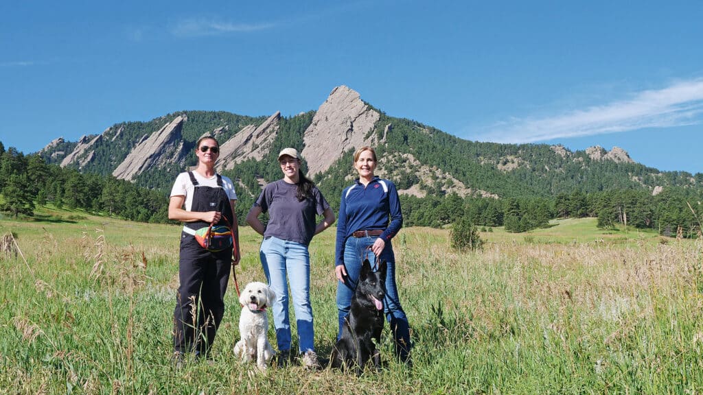 Open field at dog board and train facility in Boulder, CO