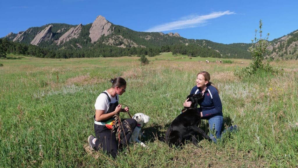 Dogs and trainers in an open field with mountains on the horizon.