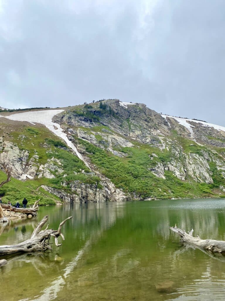 green lush mountain with wind blown tree stumps in the water 