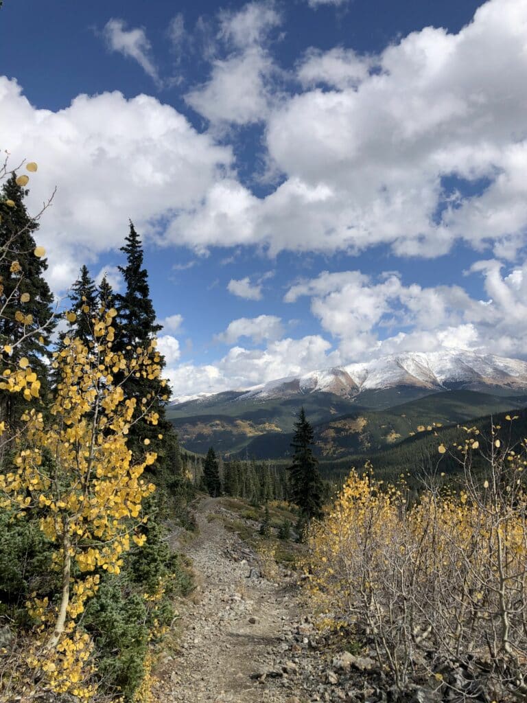 fall colors showing with gold leaves from aspens and snow capped peaks 