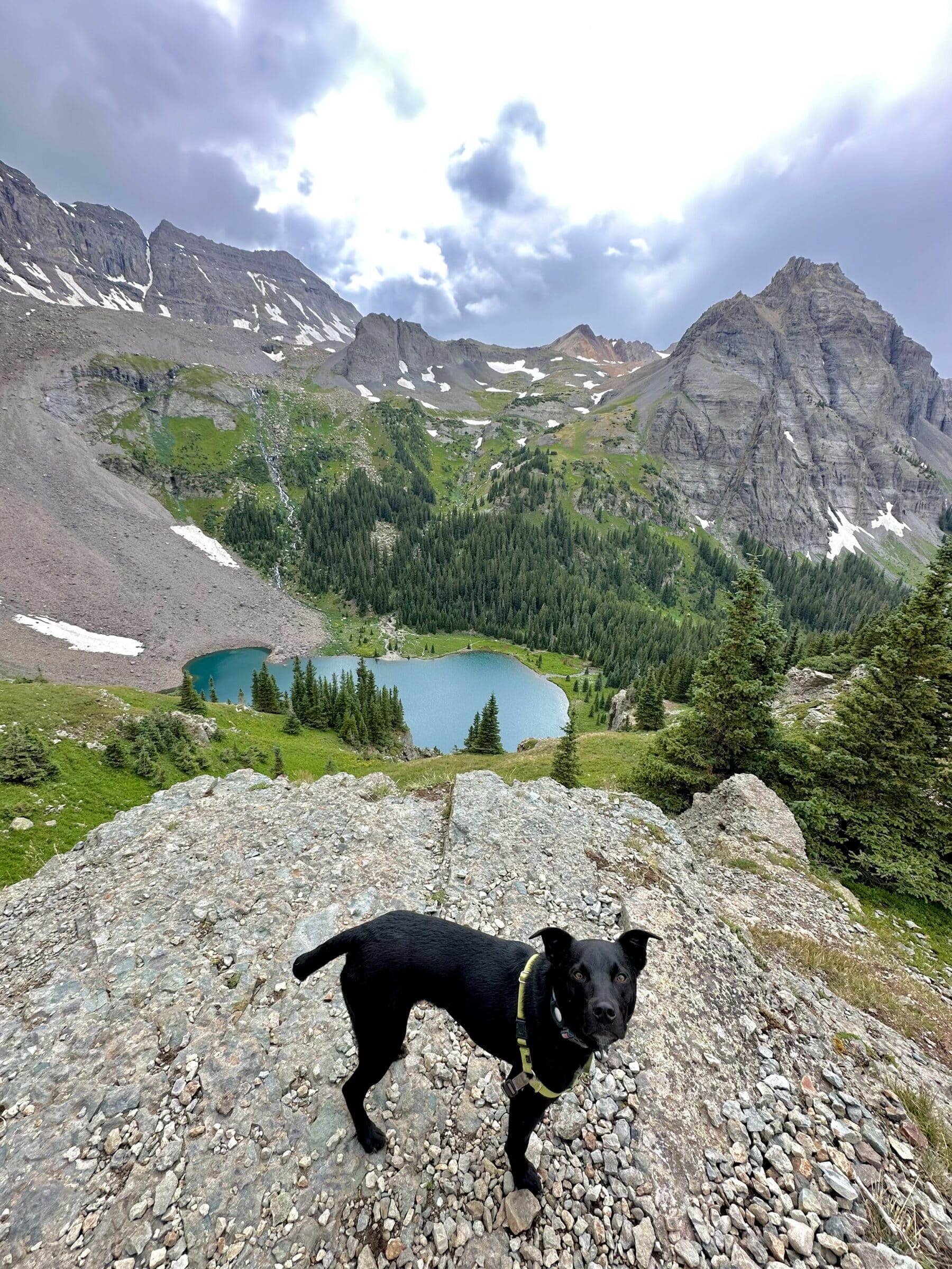 black dog with green harness in front of picturesque blue lake far below with jagged pointed rocky mountains behind 