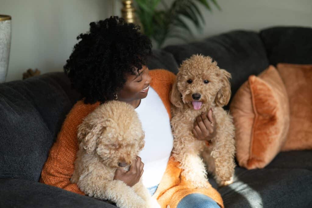 woman cuddling two light tan golden doodles on her couch 