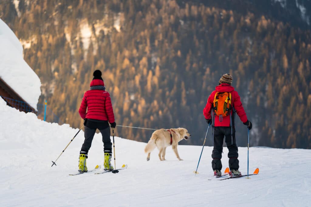 2 adults skiing with their dog on a leash