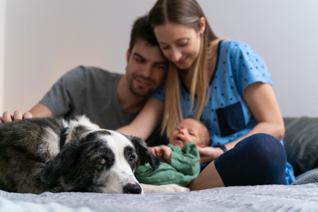 family introducing their baby to the dog