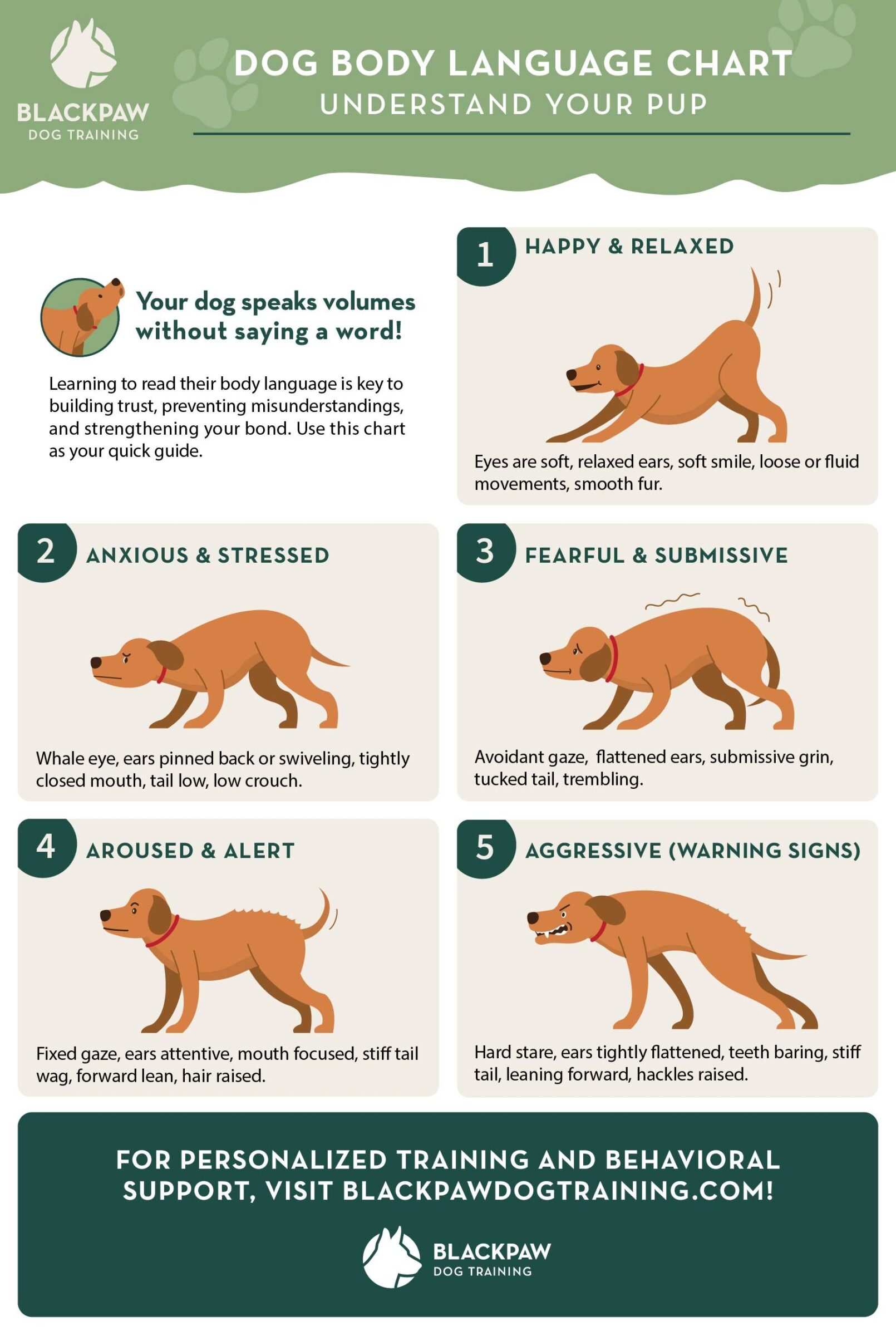 dog body language chart