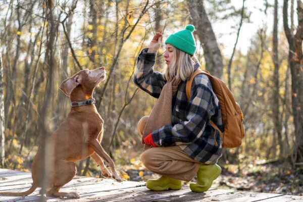 Calm female dachshund owner obedience training on forested mountain trail.