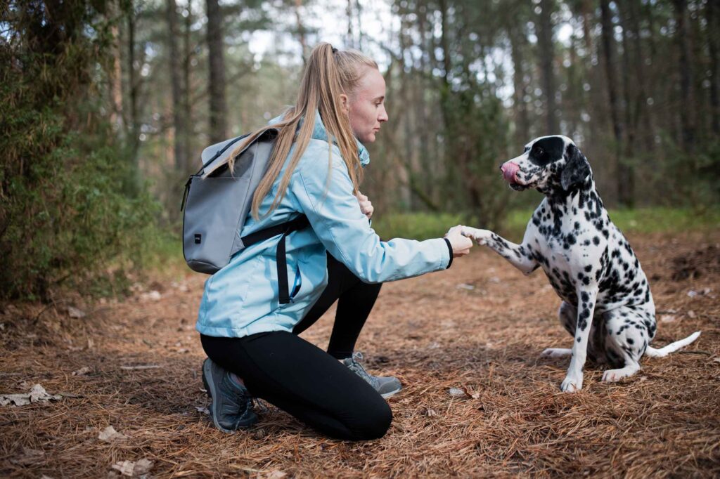 Young Woman Training Dalmatian Dog in Forest